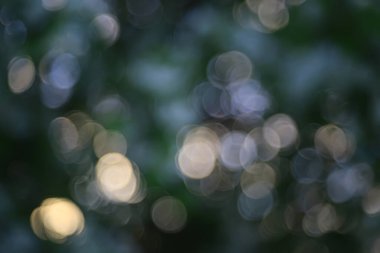 bahar bokeh soyut bulanık arkaplan, güneş ışıltısı arkaplan