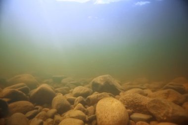 Su altı arazisindeki taşlar, su altında bulanık.