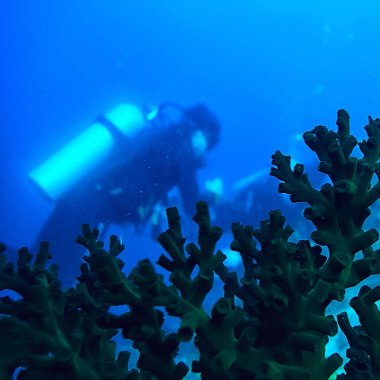 Okyanustaki dalgıçlar, derin okyanusta aktif eğlence amaçlı sualtı sporları.