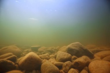 Su altı arazisindeki taşlar, su altında bulanık.