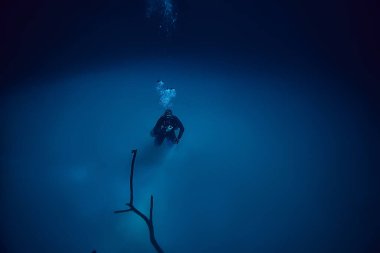 Cenote Angelita, Meksika, mağara dalışı, sualtı macerası, deniz altı sisi altındaki manzara.