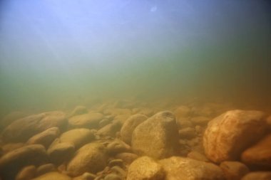 Su altı arazisindeki taşlar, su altında bulanık.