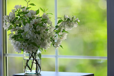 yaz soyut çiçek arka planı, alışılmadık bahar bulanık arkaplan