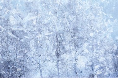 kış desenleri pencere ağaçları, soyut mevsimsel buz arkaplanı