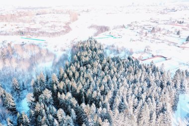 Kışın orman manzarası, karlı bir ormanda doğa manzarası, havacılık fotoğrafı.