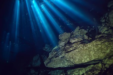 Meksika sualtı manzarası, suyun altında dalış ışınları, mağara dalışı