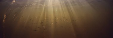 Işık ışınları su altında tatlı göl, soyut arkaplan doğa manzara güneş suyu