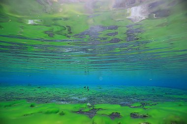 Su altı gölü, tatlı su manzarası temiz su ekosistemi