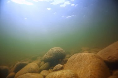 Su altı arazisindeki taşlar, su altında bulanık.