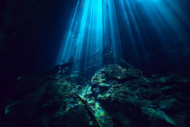 Meksika sualtı manzarası, suyun altında dalış ışınları, mağara dalışı