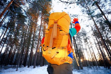 Mutlu adam kış ormanı el sallıyor, kış manzarası, ekstrem spor turizmi