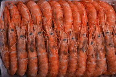 Donmuş kral karidesler, makro arka plan deniz ürünleri, taze kırmızı karidesler.