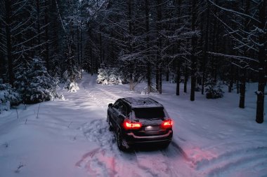 Araba kış ormanlarında, manzara seyahatleri Noel karlı ormanlarda