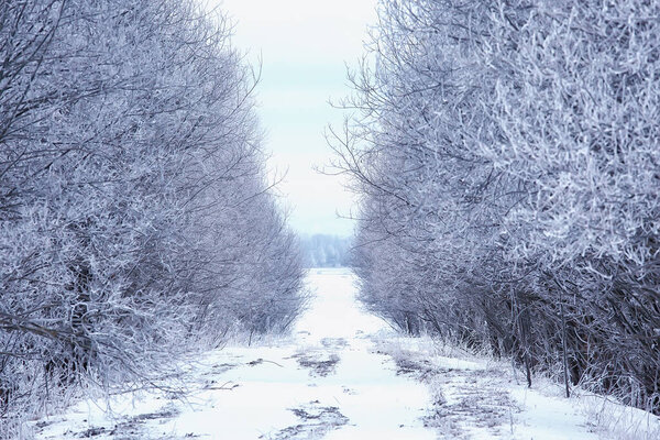 winter road landscape, beautiful view of a snowy road