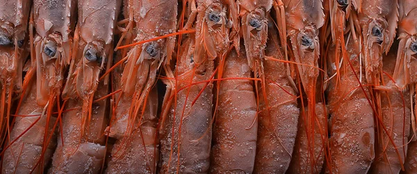 Diepgevroren Koningsgarnalen Macro Achtergrond Zeevruchten Verse Rode Garnalen — Stockfoto