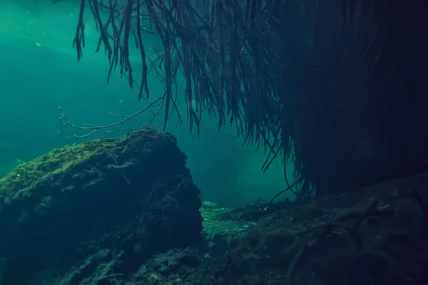 Grotta Sottomarina Stalattiti Paesaggio Immersioni Grotta Yucatan Messico Vista Cenote — Foto Stock