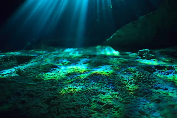 Unterwasserhöhle Tropfsteinlandschaft Höhlentauchen Yucatan Mexiko Blick Cenote Unter Wasser — Stockfoto