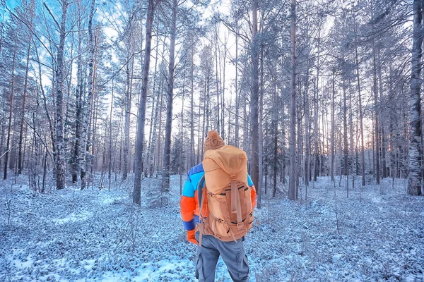 Turista Ártico Vista Parte Trás Homem Com Uma Mochila Turista — Fotografia de Stock