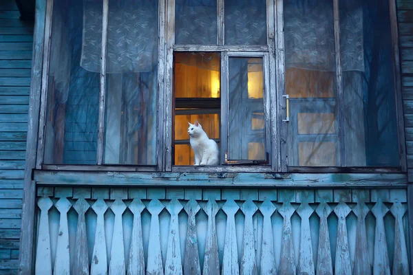 Gato Ventana Casa Madera Vieja Arquitectura Vintage — Foto de Stock