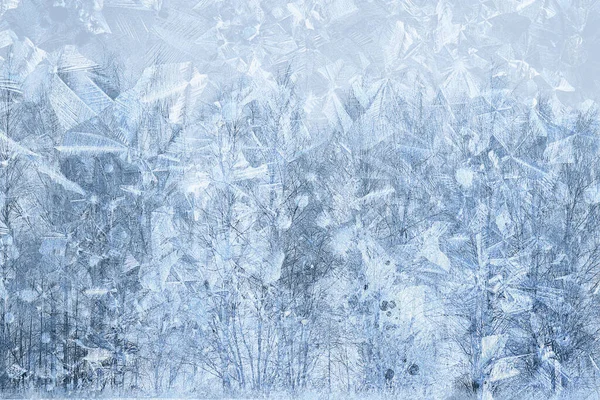 Zimní Vzory Okenní Stromy Abstraktní Sezónní Led Pozadí — Stock fotografie