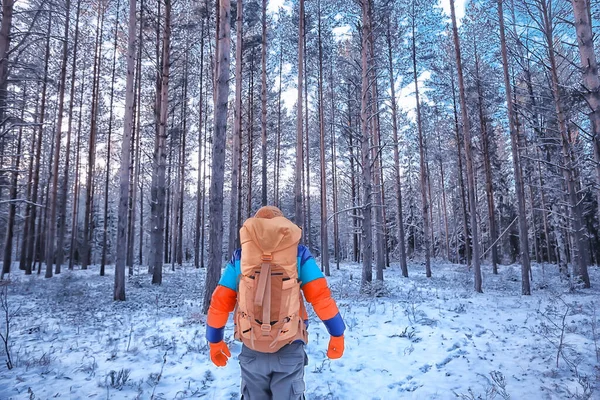 Homem Viajante Com Uma Mochila Floresta Vista Inverno Floresta Americana — Fotografia de Stock