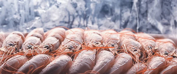 Frozen King Prawns Macro Background Seafood Fresh Red Prawns — Stock Photo, Image