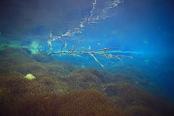 Altı Gölü Tatlı Manzarası Temiz Ekosistemi — Stok fotoğraf