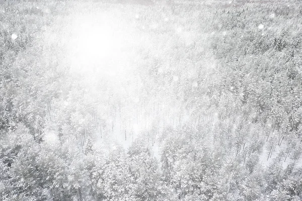 Abstract Sneeuwval Bos Achtergrond Witte Sneeuwvlokken Vallen Het Bos Landschap — Stockfoto