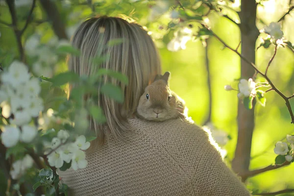 Menina Segura Coelho Seu Ombro Conceito Páscoa Primavera Fundo Vista — Fotografia de Stock