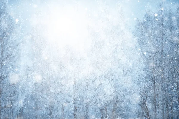 Abstrakt Snöfall Skog Bakgrund Vita Snöflingor Falla Skogslandskapet Jul Bakgrund — Stockfoto