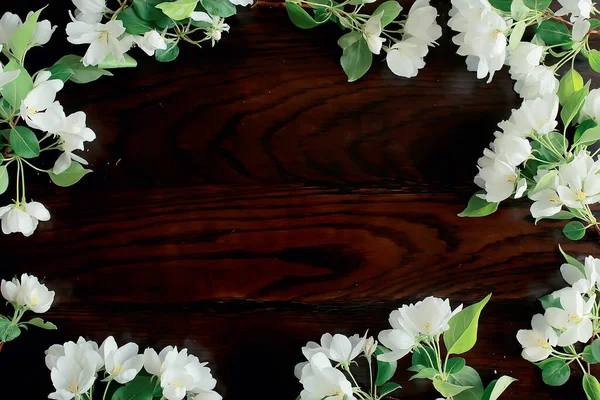 Elvont Alma Virágok Háttér Tavasz Elmosódott Háttér Ágak Virágos — Stock Fotó