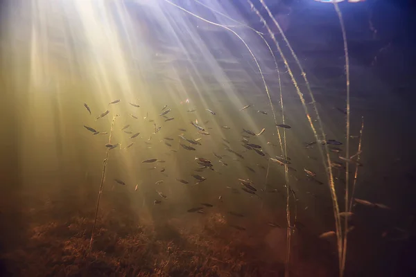 Лучи Света Водой Пресное Озеро Абстрактный Фон Природный Ландшафт Солнечная — стоковое фото