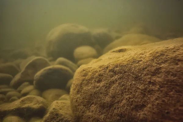 水中の底にある石や水面下でぼやけた抽象的な — ストック写真