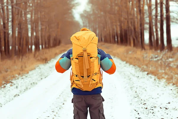 북극해를 여행하는 뒤에서 가방을 핀란드 스칸디나비아에 관광객의 — 스톡 사진