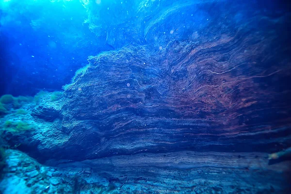Récif Corallien Paysage Sous Marin Lagune Dans Mer Chaude Vue — Photo