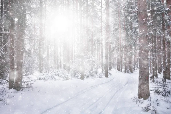 Astratto Sfondo Foresta Nevicata Fiocchi Neve Bianchi Cadono Nel Paesaggio — Foto Stock