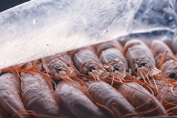 Diepgevroren Koningsgarnalen Macro Achtergrond Zeevruchten Verse Rode Garnalen — Stockfoto