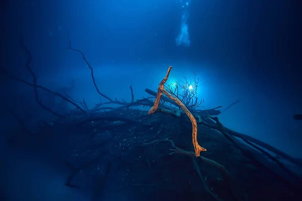 Landscape Diving Cenote Underwater Fog Hydrogen Sulfide Extreme Adventure Mexico — Stock Photo, Image