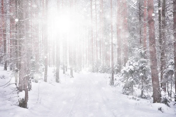 Astratto Sfondo Foresta Nevicata Fiocchi Neve Bianchi Cadono Nel Paesaggio — Foto Stock