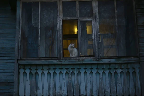 Window Cat Old Wooden House Vintage Architecture — Stock Photo, Image