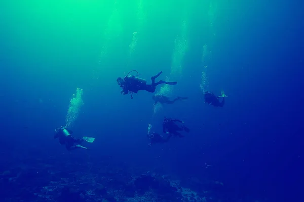 濁った澄んだ水の中でのダイバーのグループ 危険なダイビング — ストック写真