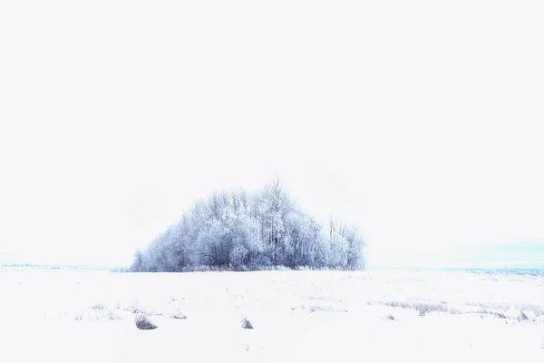 Russian village in winter, landscape in January snowfall, village houses