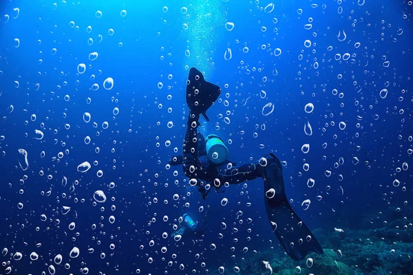 잠수부 물총새는 수중에서 스쿠버 다이빙을 의등을 속에서 바라본다 — 스톡 사진