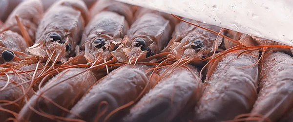 Camarões Rei Congelados Frutos Mar Fundo Macro Camarões Vermelhos Frescos — Fotografia de Stock