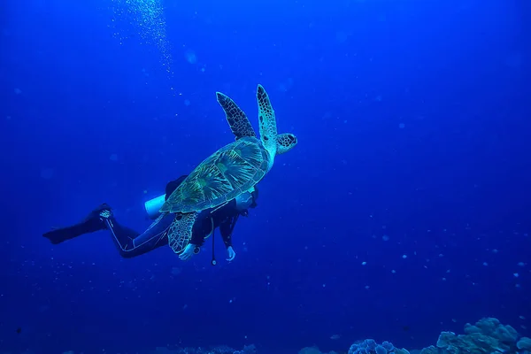 Taucher Ozean Unterwassersport Aktive Erholung Der Tiefsee — Stockfoto