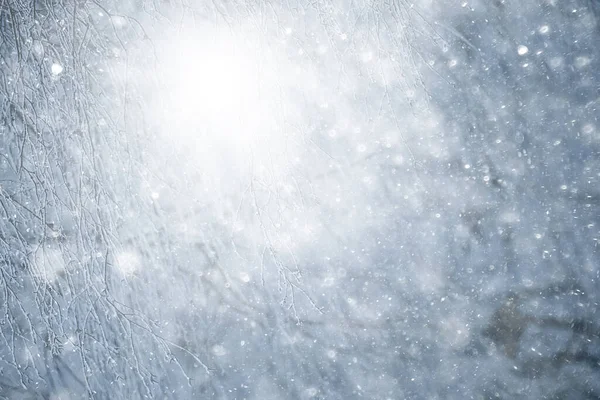 Abstrakter Schneefall Waldhintergrund Weiße Schneeflocken Fallen Die Waldlandschaft Weihnachten Hintergrund — Stockfoto