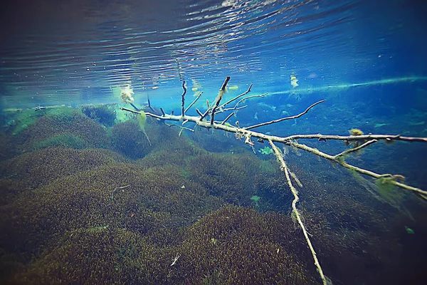 멕시코의 세노테에서 잠수하는 황화수소 — 스톡 사진