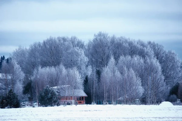 Villaggio Russo Inverno Paesaggio Gennaio Nevicate Case Villaggio — Foto Stock