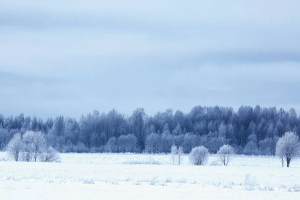 Ρωσικό Χωριό Χειμώνα Τοπίο Τον Ιανουάριο Χιονόπτωση Σπίτια Χωριά — Φωτογραφία Αρχείου