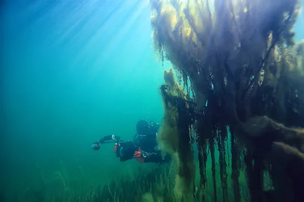 Fotógrafo Submarino Con Una Cámara Buceador Hobby Boxeo Submarino Especial — Foto de Stock